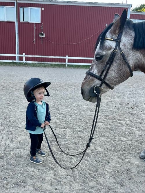 Bild av En ponny med ett hjärta av guld 