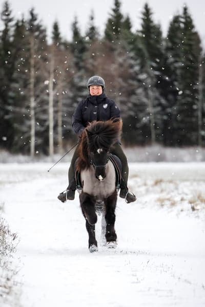 En galopp i snön ❄️