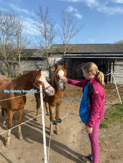 My sis and her ponys