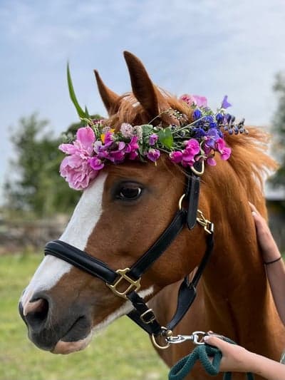 Glad midsommar!💕🌸