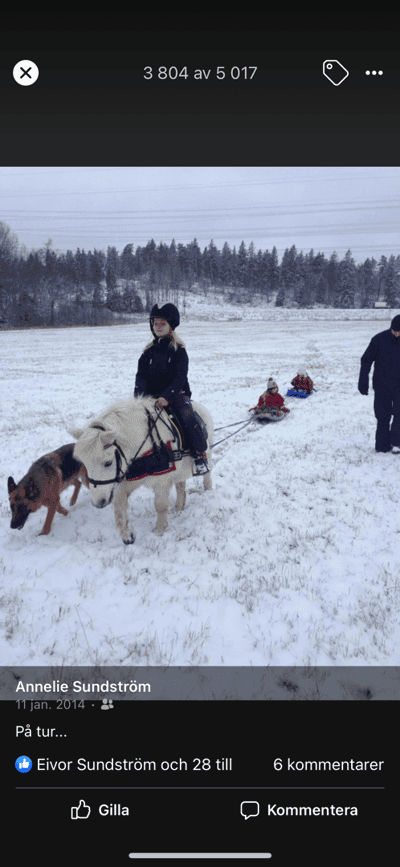 Vinter tur 