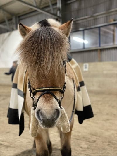 Fin på trening🥰❤️