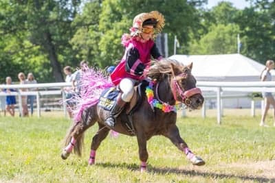 Galopp sm på strömsholm 