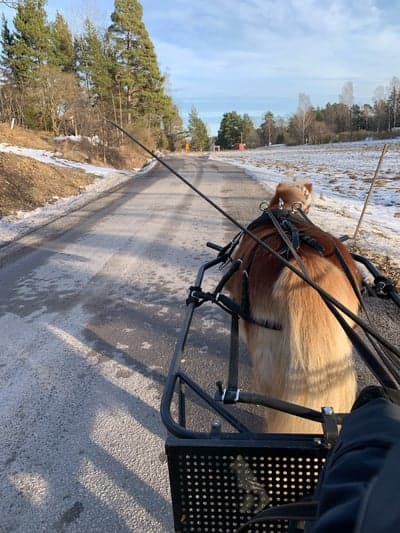 Jag har flyttat till Värmdö Ridklubb