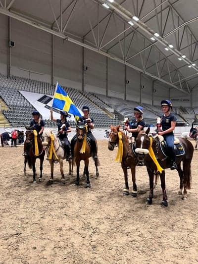 KINGSLAND OSLO HORSE SHOW 2022🥉🌟