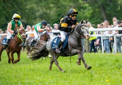 SM i ponnygalopp på Strömsholm