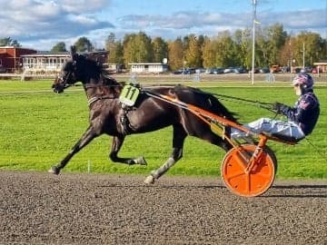 Iris i värmning innan segern på Dannero i höstas 