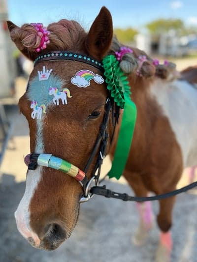 Ponnygalopp på Jägersro 🏇🏼