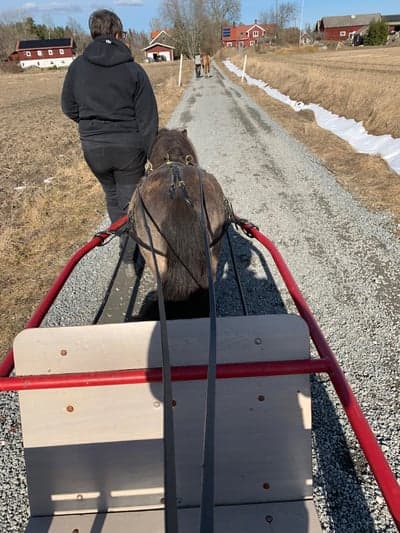 Första gången med vagn!