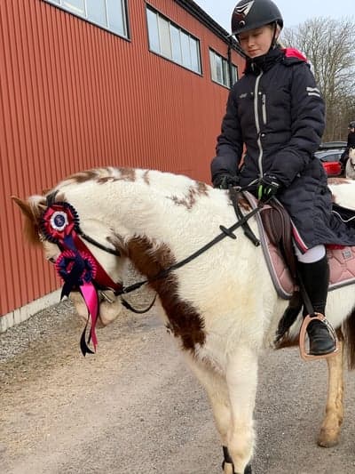 Hopptävling sedan i somras 