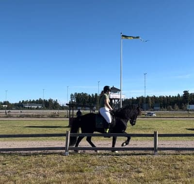 Rolig tävlingsdag idag med Sindri!