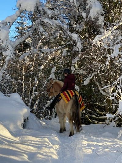 Winter wonderland❄️🥰