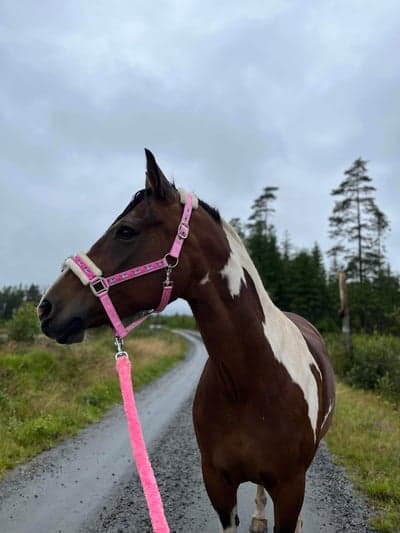 Ute på promenad i regnet 