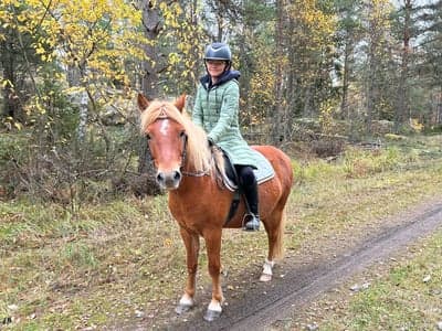 Hej! Jag glömmer och lägga upp typ hela tiden hahaha, men nu kommer jag inte kunna rida på ett tag för jag prov red en häst förra veckan och ramlade av och landa på armen och sen har jag över arms fraktur så jag får börja rida i början på december igen😢