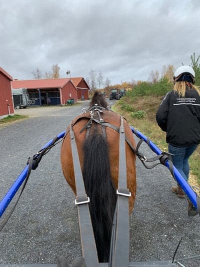 Ikväll får jag sitta bakom henne igen❤️😭