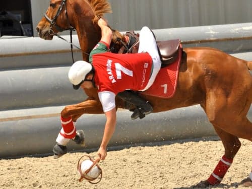 Horseball