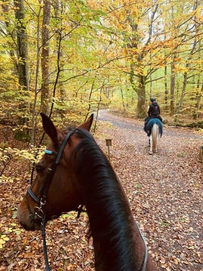 Höstig uteritt 🍂💕 