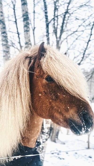 Så var vinteren tilbake😂❄️🤍