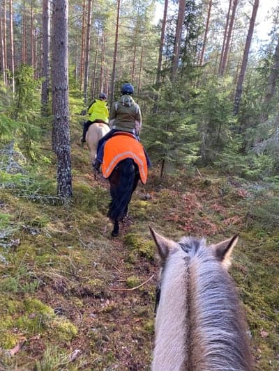 En härlig ridtur i skogen.❤️