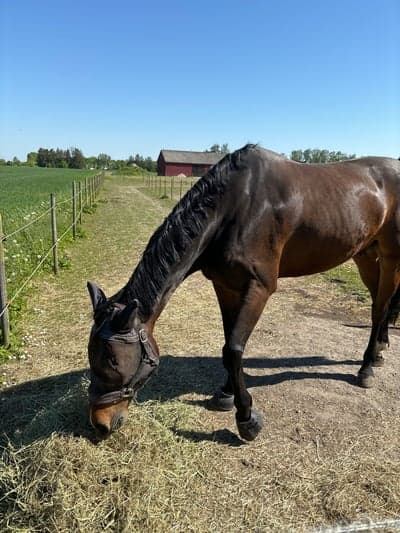 Sommarvärmen har kommit ❤️